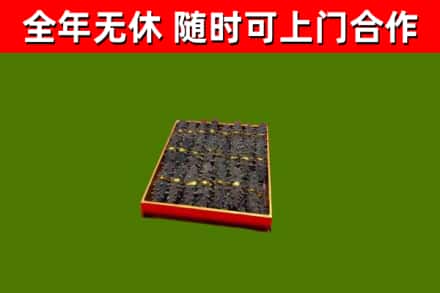 洪湖回收海参